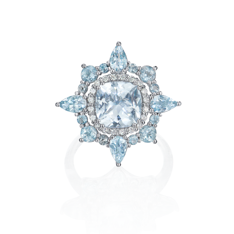 R17-FD-004-6 Кольцо (750)