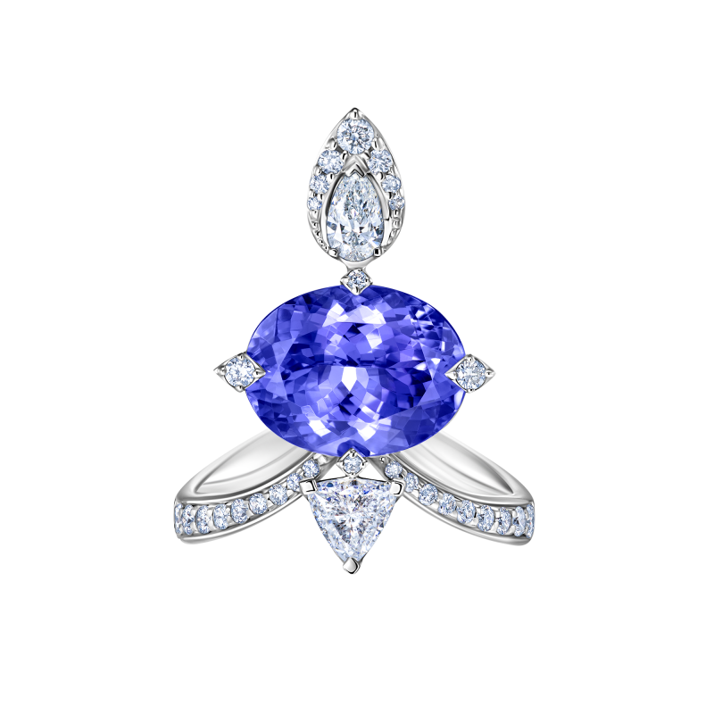 R08-SM-019-6 Кольцо (750)