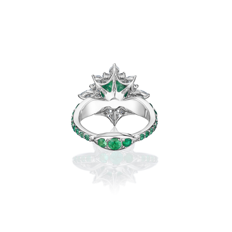 R11-FD-003-6 Кольцо (750)